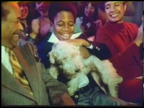 Original WIZ commercial Original WIZ commercial