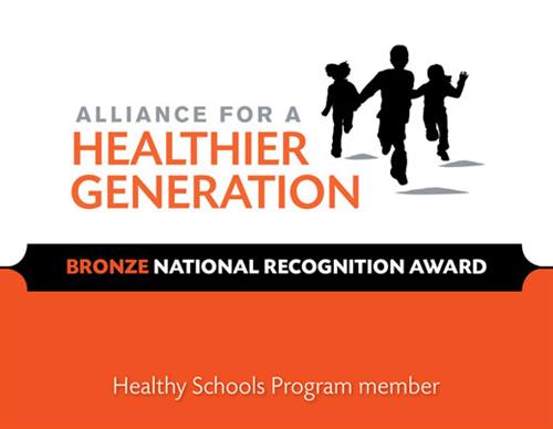 Image result for bronze healthy school