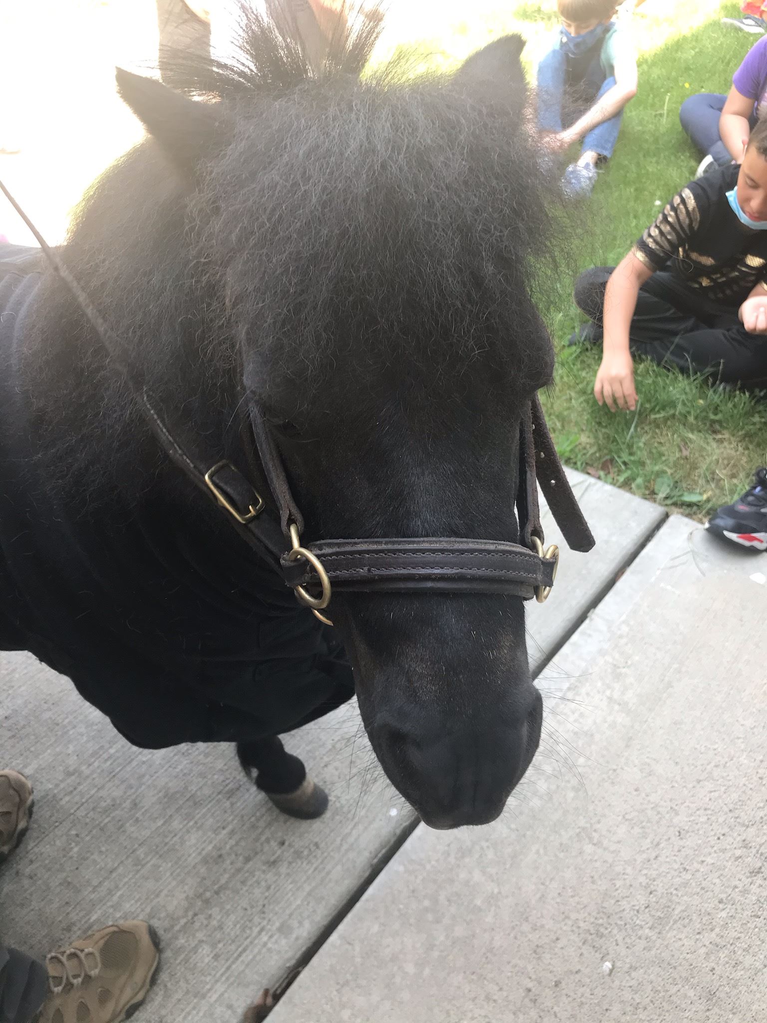  Fieldstone Farms Comes to Visit Orchard Students