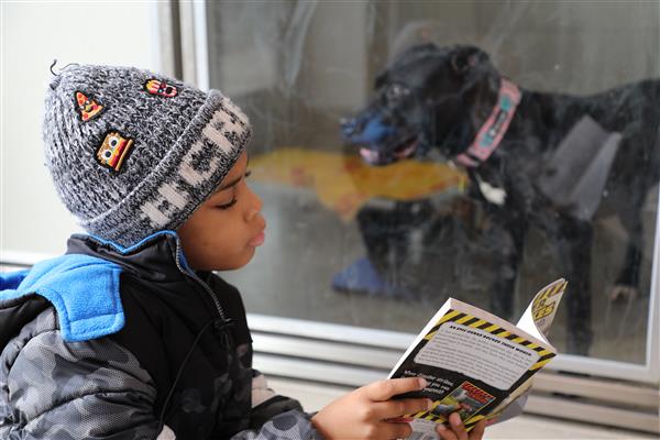  literacy
