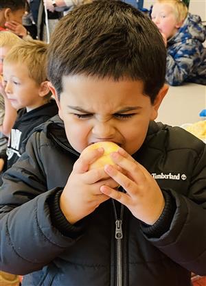 Student enjoys Gala apple during 'Apple Crunch'