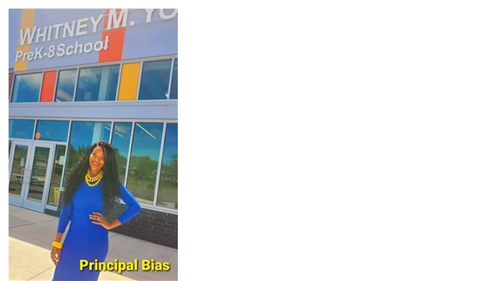Principal Bias 