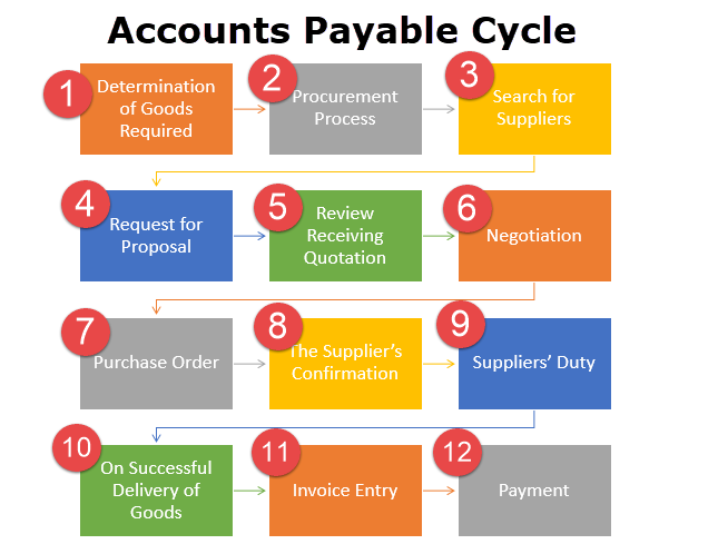 Account Payable Cycle Account Payable Cycle