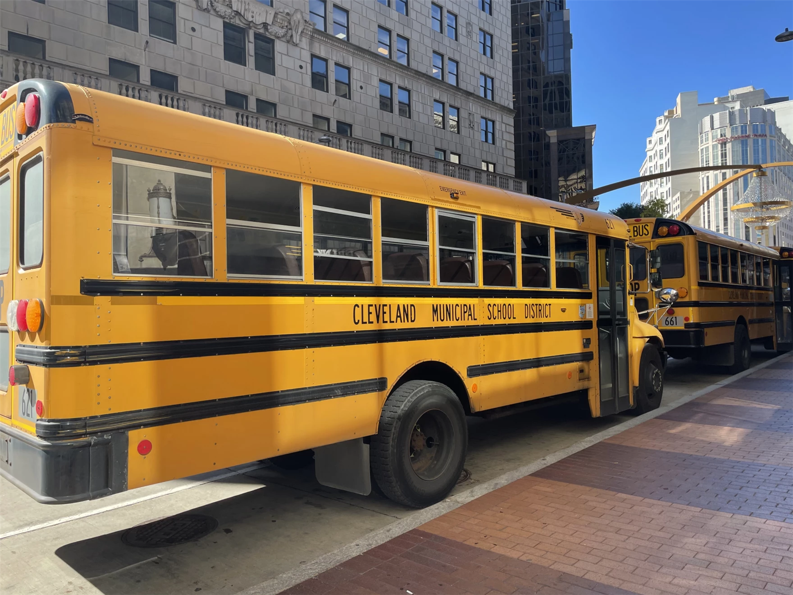 School Busses