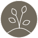 growth and learning