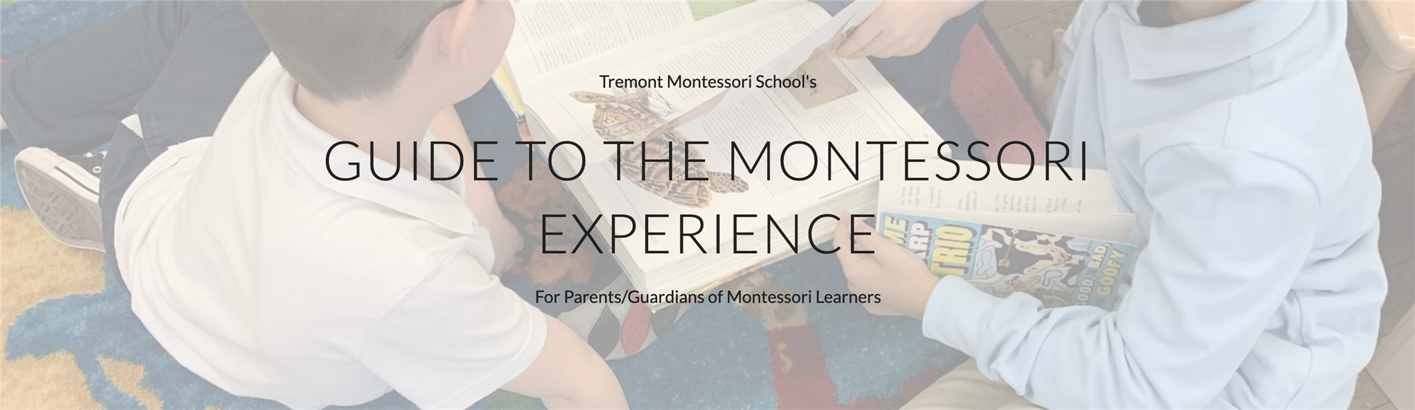 Guide to the Montessori Experience
