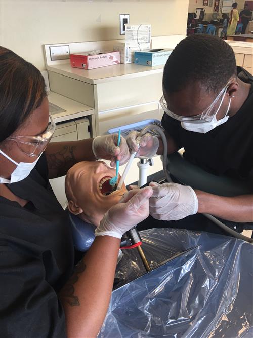 Dental 