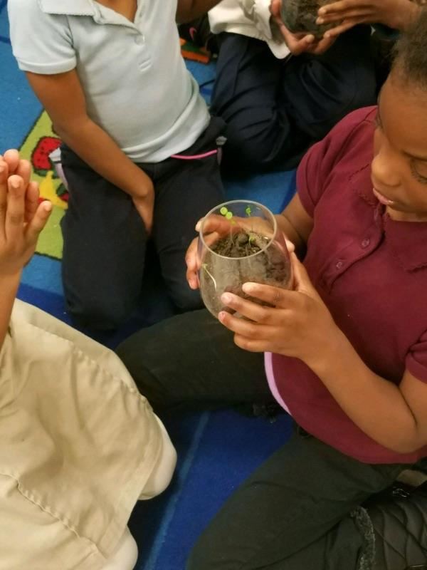The Green Thumbs