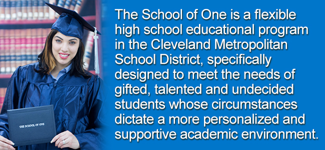The School of One